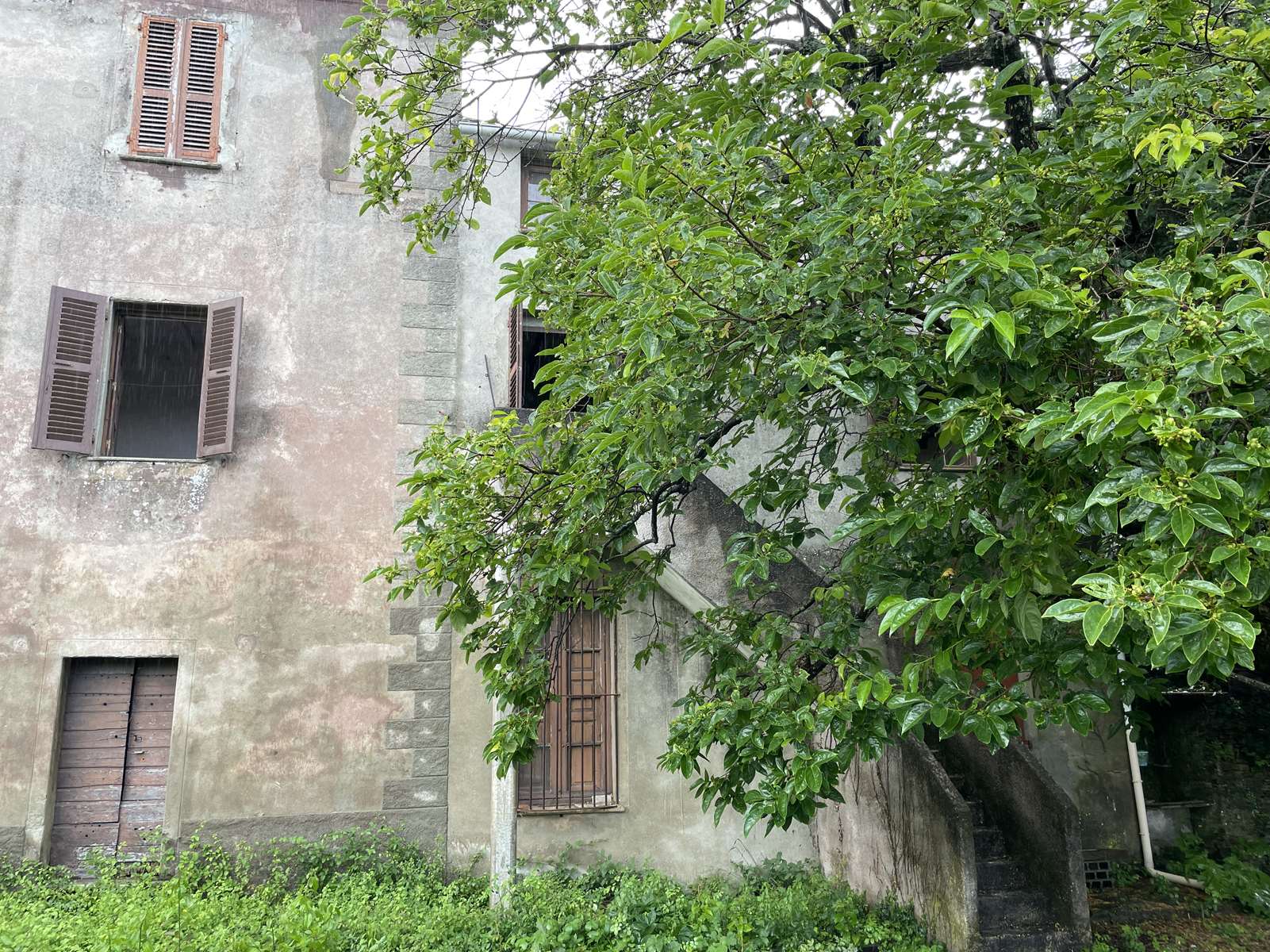 Cap corse, authentique maison de village fin 19e, vue mer, 175 m² habitable, jardin 170 m², 2 caves 48 m².