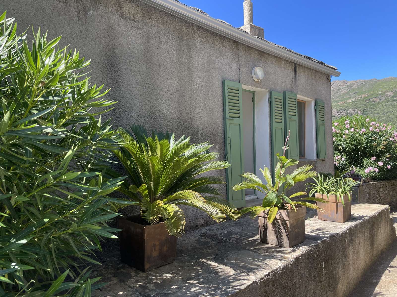 Cap corse, maison de village, T6, 115 m², 4 terrasses, vue mer et montagne, 1 garage, 2 caves, jardin 265 m², beaucoup de charme, en très bon état et joliment rénovée.