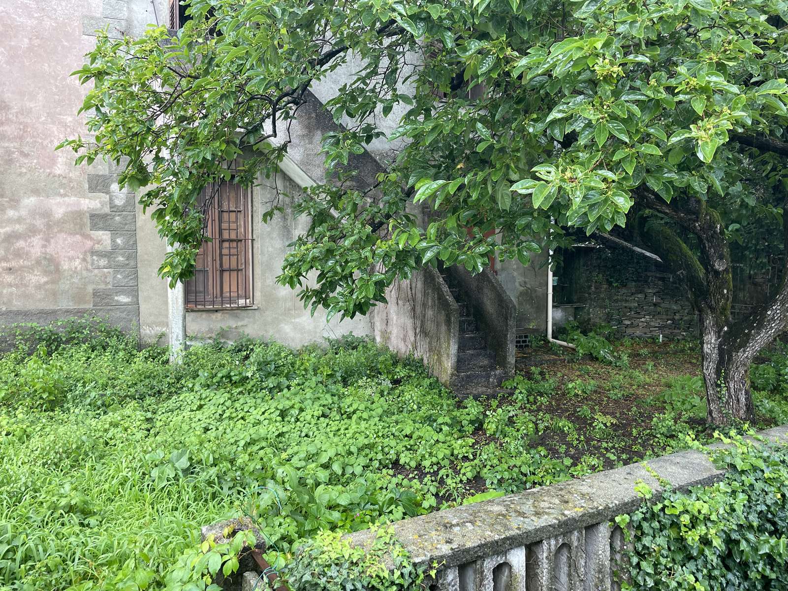 Cap corse, authentique maison de village fin 19e, vue mer, 175 m² habitable, jardin 170 m², 2 caves 48 m².