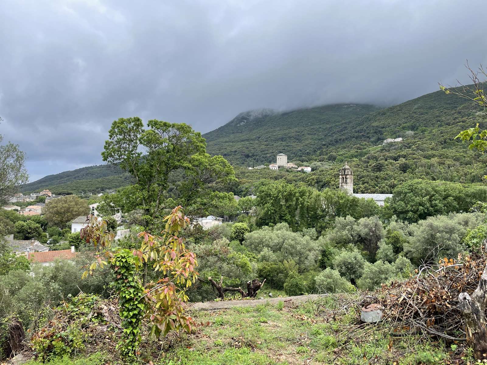 Cap corse, Luri, jolie parcelle constructible, 653 m², vue dominante, aperçu mer, exposition Est, endroit calme et plein de charme.
