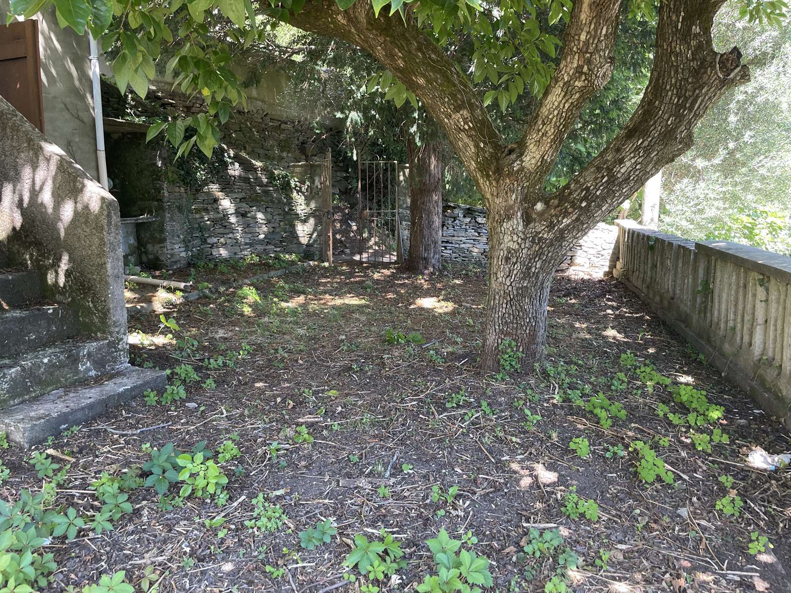 Cap corse, authentique maison de village fin 19e, vue mer, 175 m² habitable, jardin 170 m², 2 caves 48 m².